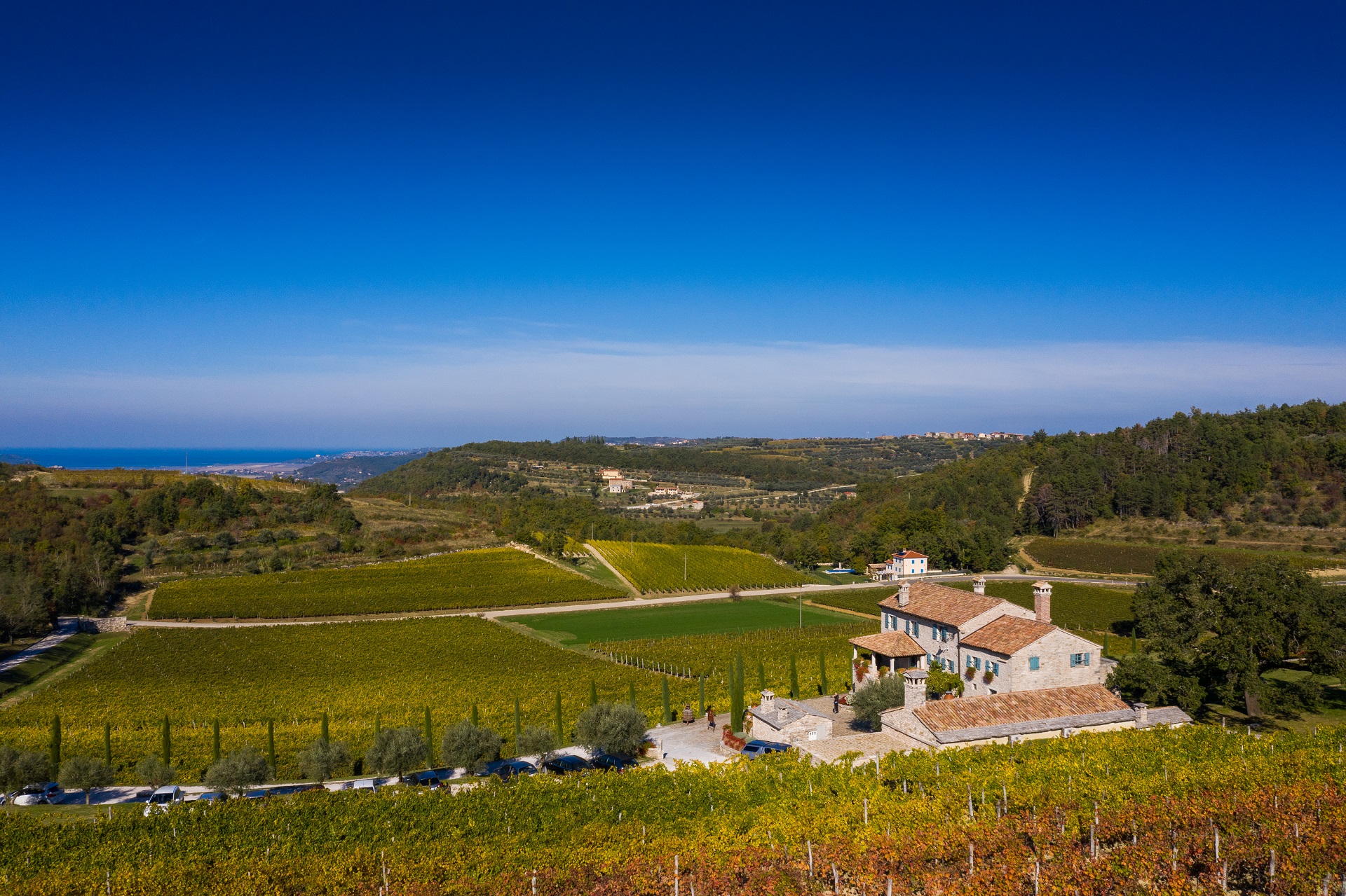 Na najljepšem istarskom imanju nalazi se i vinograd godine