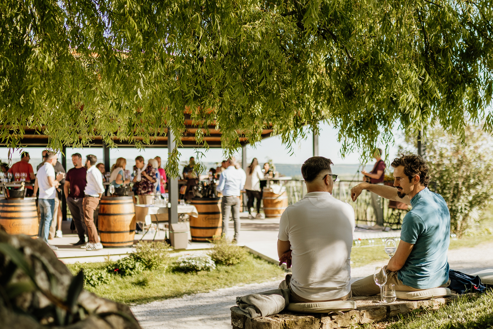 Malvazija Day: Vinarija Cattunar proslavila kraljicu Istre na jedinstven način