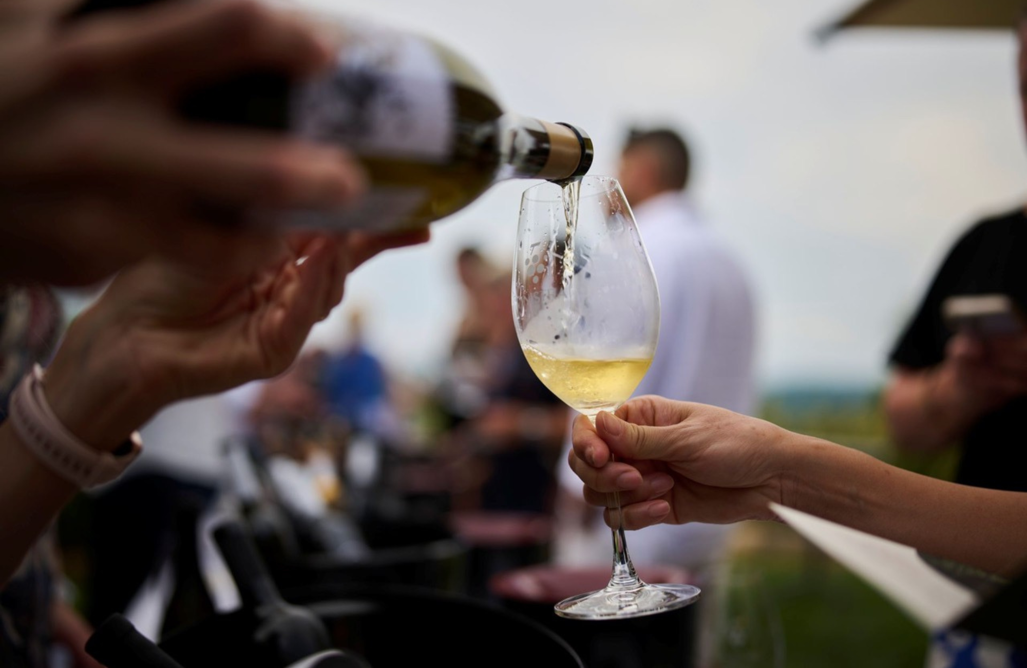 Vinarije s područja Vižinade oduševile Decanterove vinske stručnjake