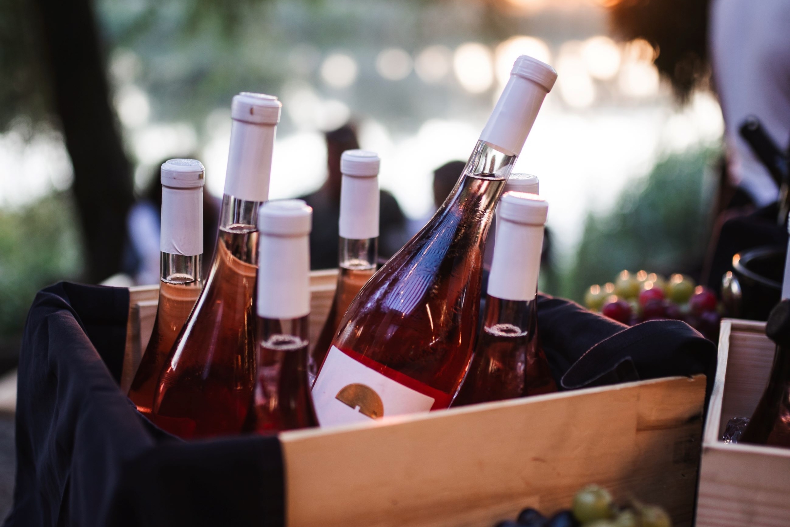 VINARIJA ZLATNO BRDO PREMIJERNO PREDSTAVILA PET NOVIH ETIKETA