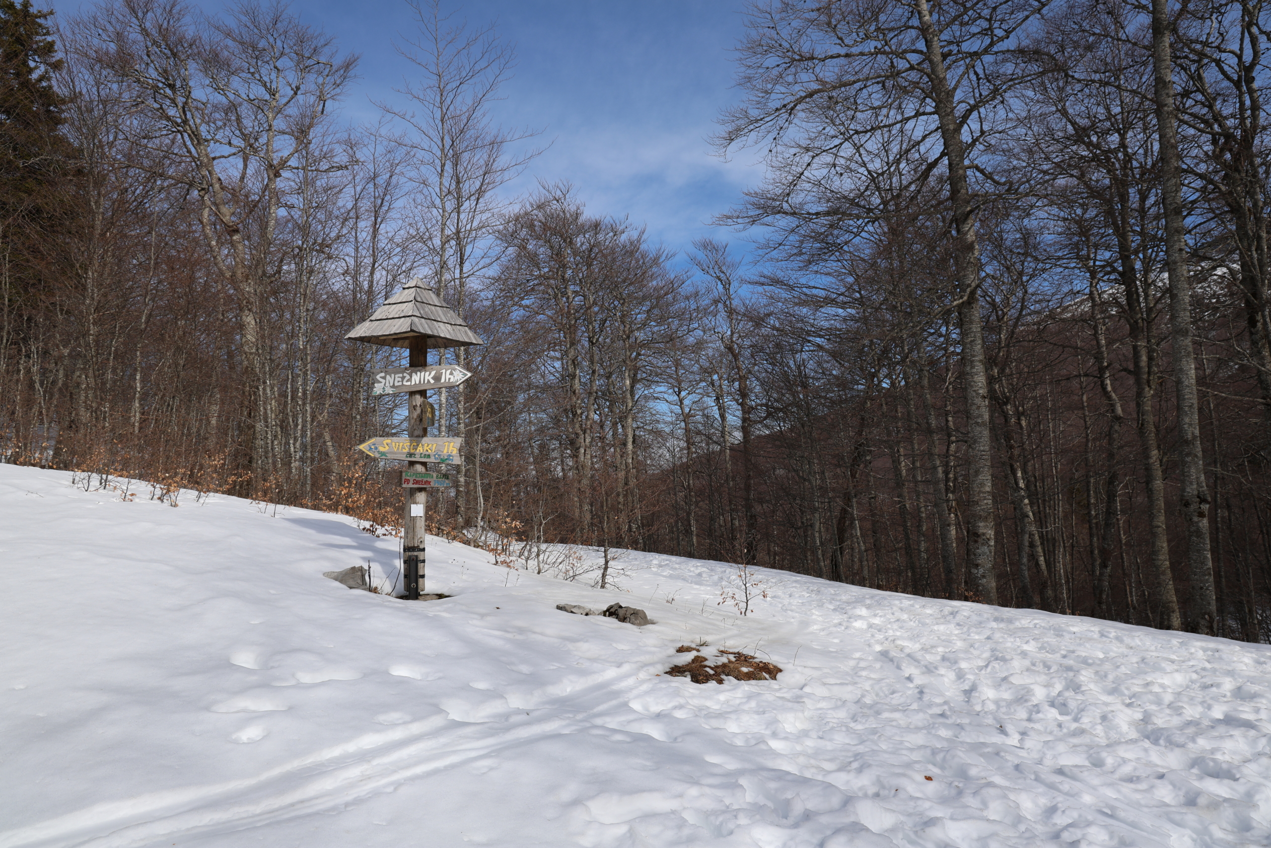 Dear anywhere… Snežnik Slovenija