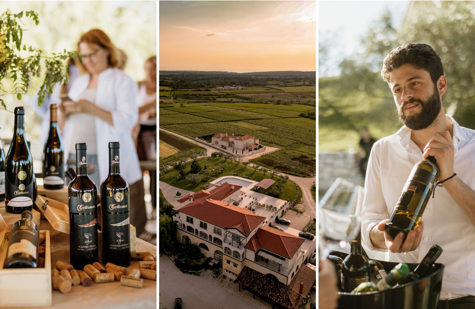 Malvazija Day se vraća — drugo izdanje događaja posvećenog najbogatijoj kolekciji malvazija na svijetu